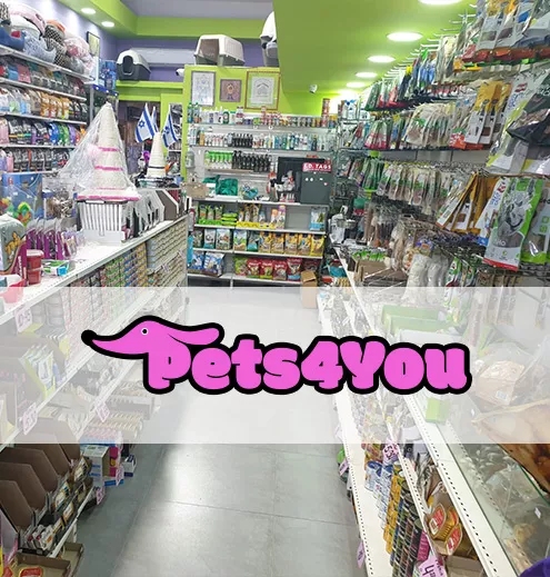 Pets4You חנות חיות, מזון ומוצרים נלווים לחיות מחמד - מאי קונטנט